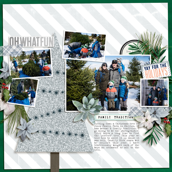 2019-12-7-jones-family-farm-tree-_600web