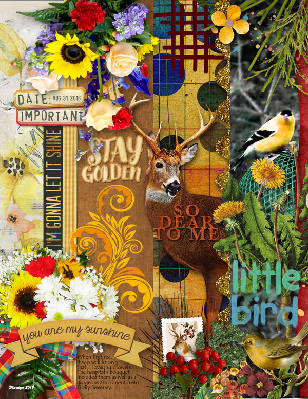 2019-12_December-TLP_AJ_Flora_Fauna_web