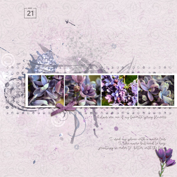 2019-5-21-lilacs-macro_600web