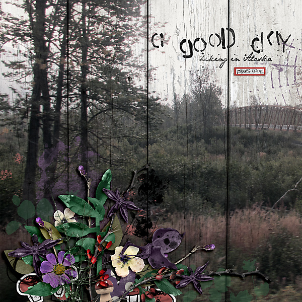 2019-A-Good-Day-Hiking-in-Alaska