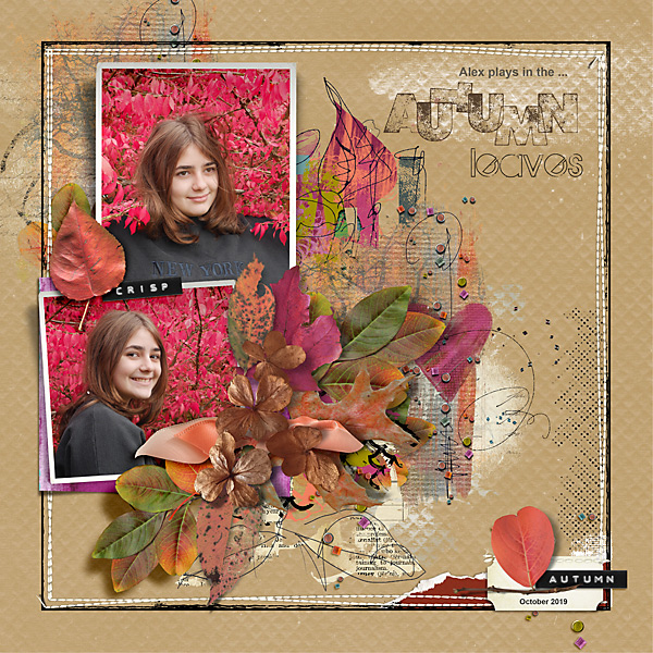 2019 Alex Plays In The Autumn Leaves