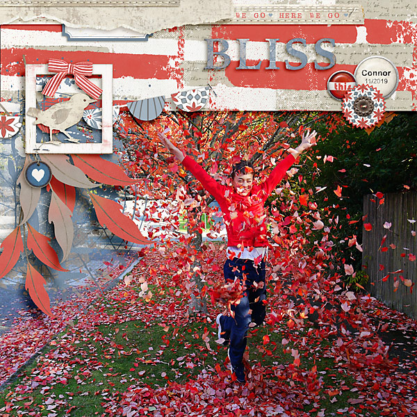 2019 Bliss-connor-Playing-In-the-Leaves