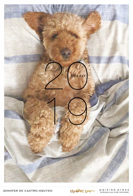 2019 Calendar - Buster Edition