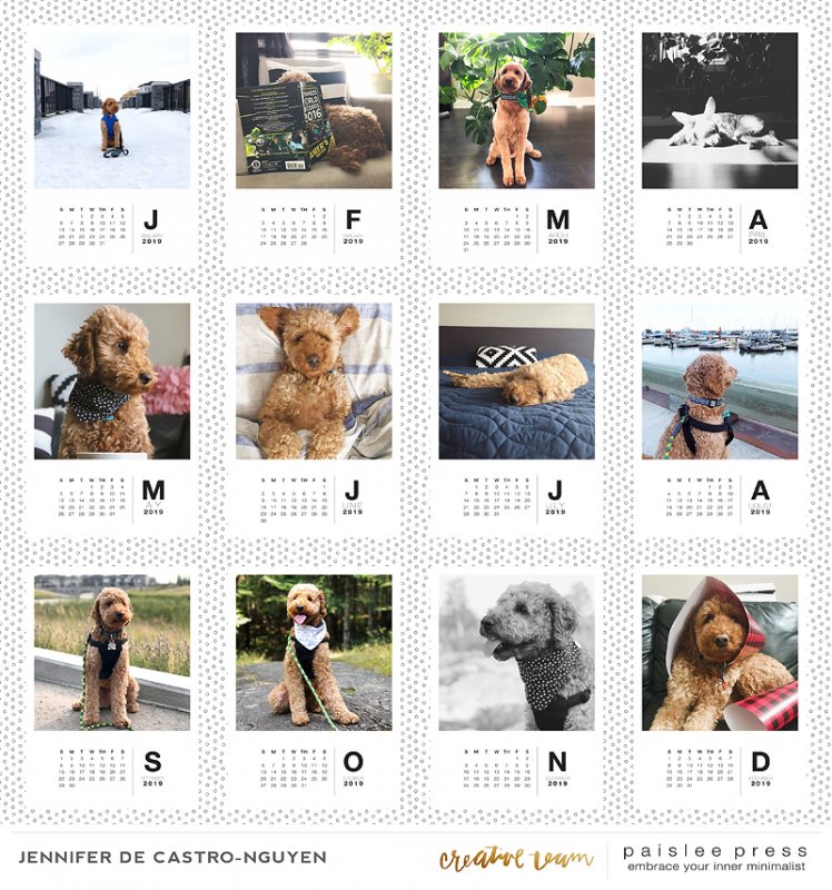 2019 Calendar - Buster Edition