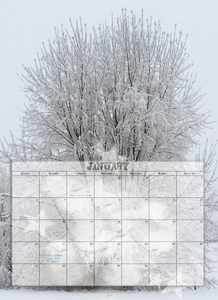 2019-Calendar-January