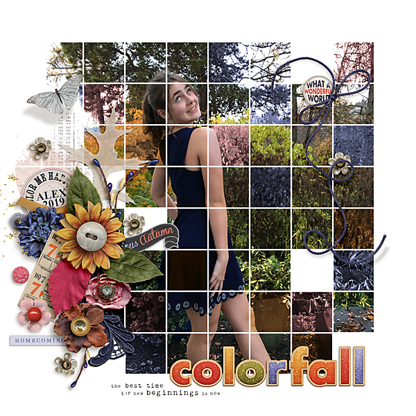 2019 Colorfall Alex