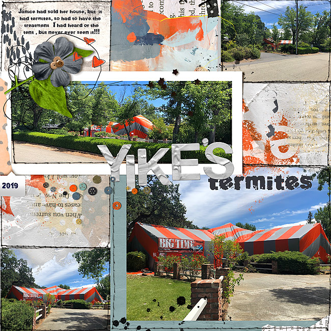 2019-Janice's-house-Termites