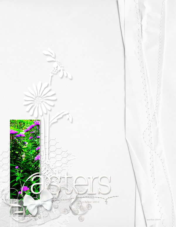 2019-MOC#09_White-on-White_web