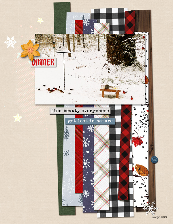 2019-MOC#23_Paper-Strips_web
