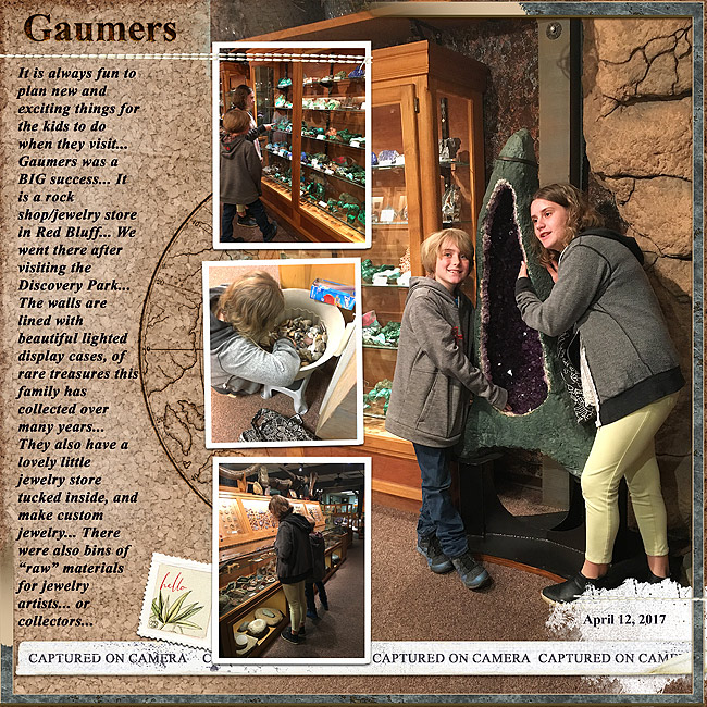 2019-MOC-#24-Gaumers-companion-page