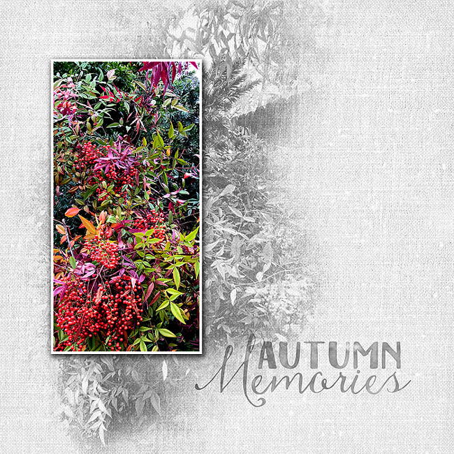 2019-MOC-#4-Fall-color