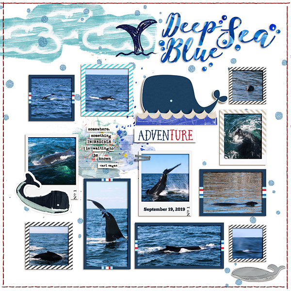 2019 Sept Whale Watch
