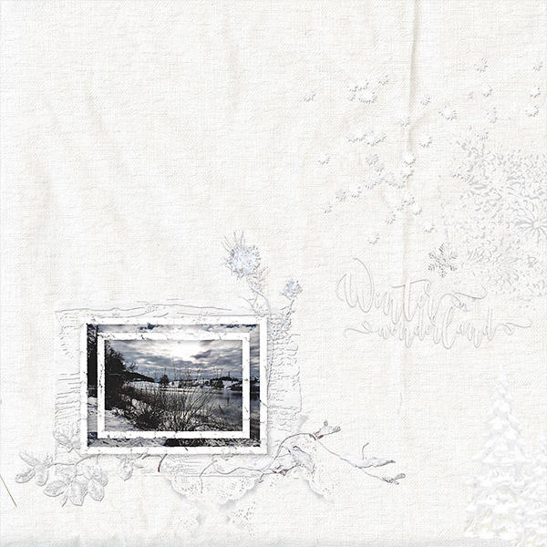 2019_01_January09_white