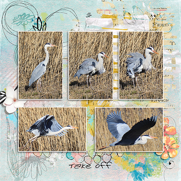 2019_03_Lilypad_RandomChallenge_heron