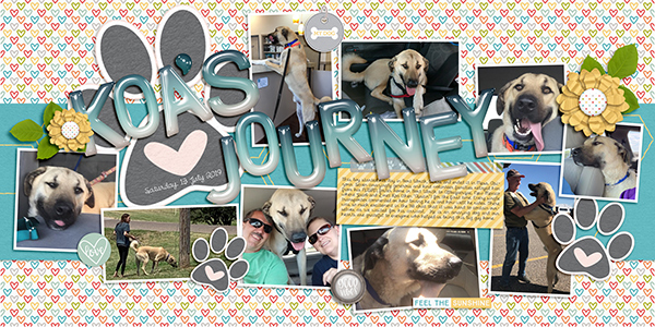2019_07-13-Koa's-Journey