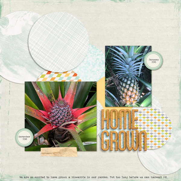 2019_1_january_moc7templates2_12x12_w