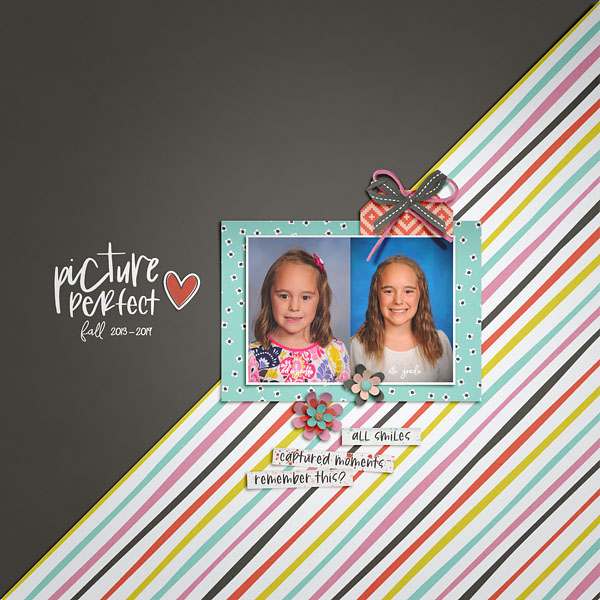 2019_Picture Perfect Copy
