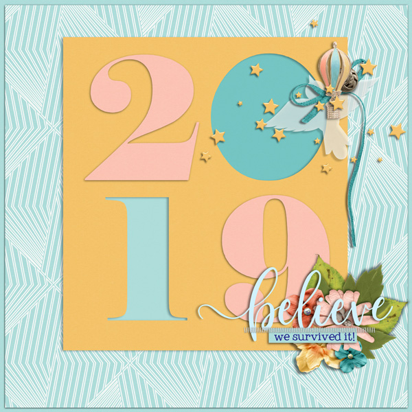 2019BookCover -We Survived It!-