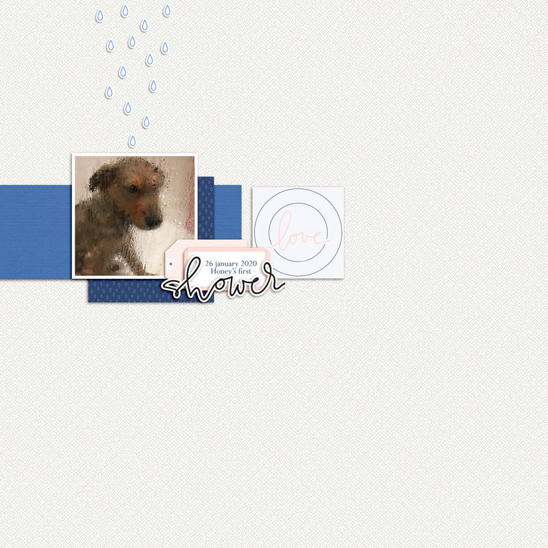 2020.01.26-Honey's-first-shower