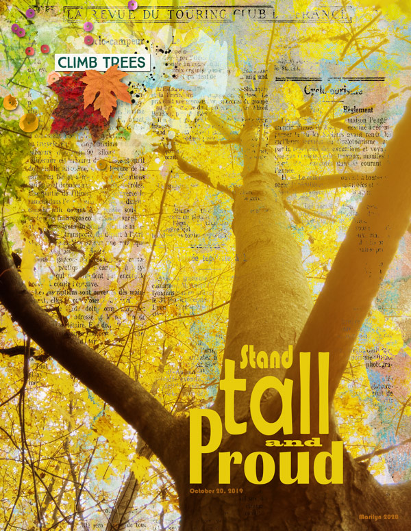 2020-02_February-TLP_AJ04_Tree-Life-Lesson_web