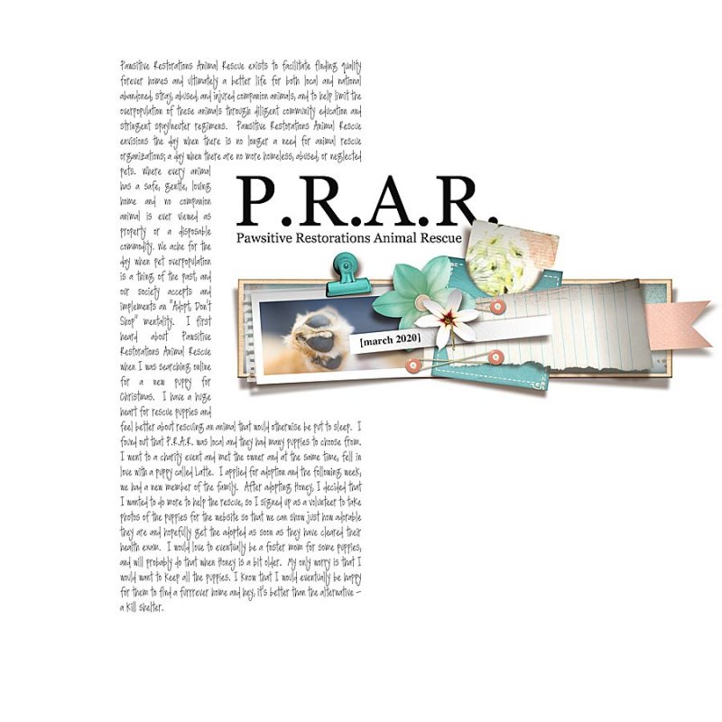 2020.03.02-PRAR