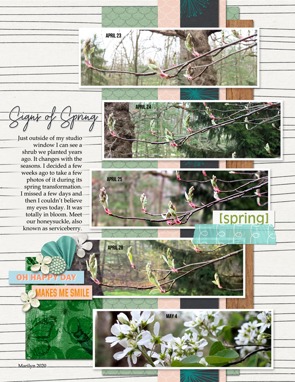 2020-05_May-TLP_Blooming-Spring_0501_web