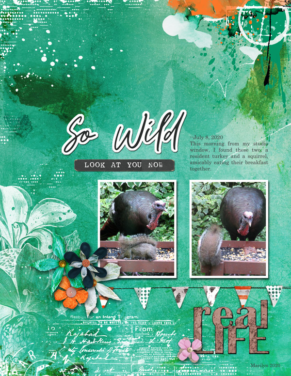 2020-07_July-TLP_Speed-Scrap_0708_web
