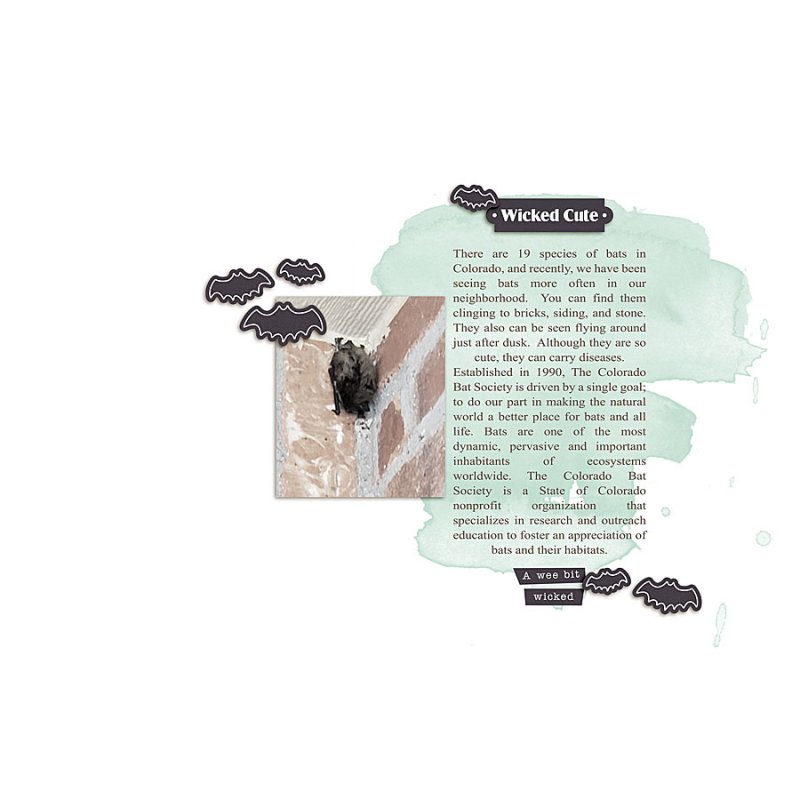2020.09.15-Bats