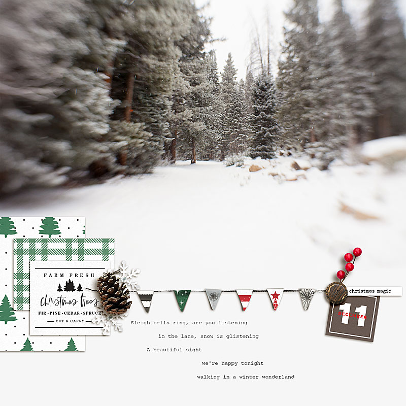 2020.12.00-winter