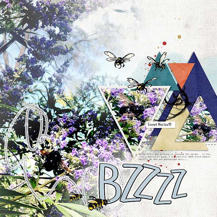 2020-Bumble-Bee--Slow-scrap-Oct-2