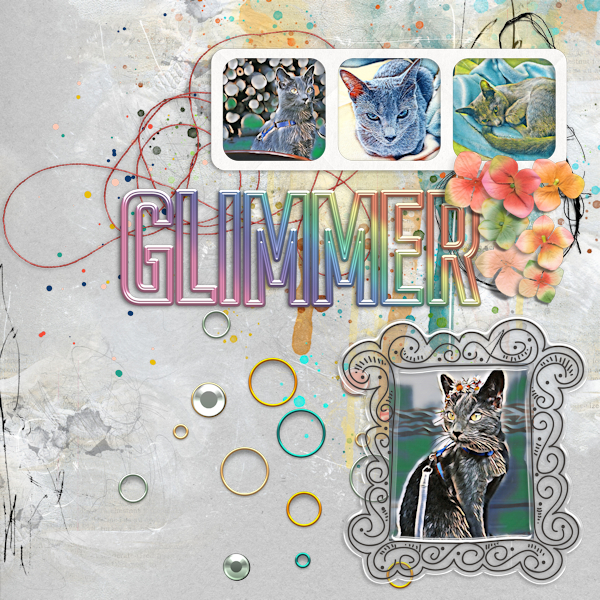 2020 Cat Glimmer