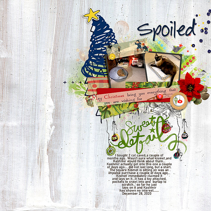 2020-Christmas-with-Kismet-and-Kashmir