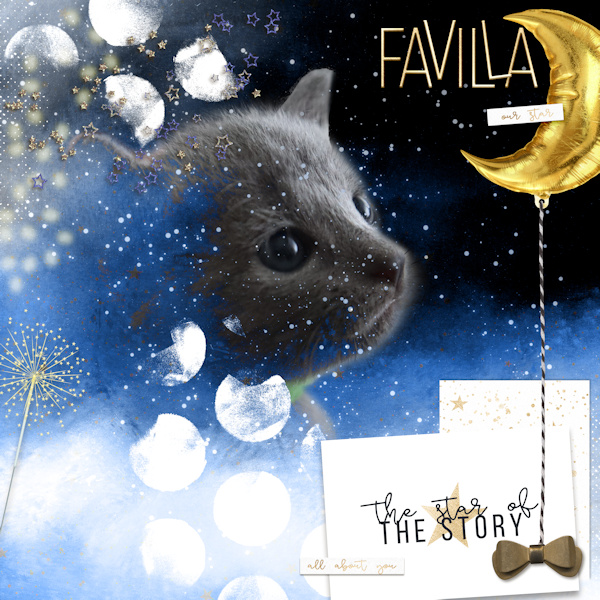 2020 Favilla Cover