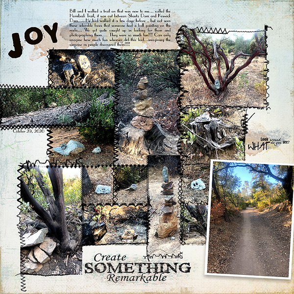 2020-Hornbeck-Trail-Journal-Joy
