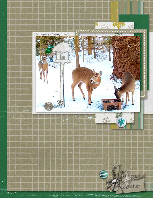 2020-LOD_0225_The-Committed-Crafter_web