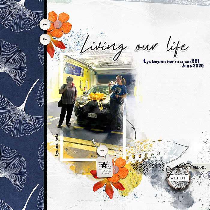 2020-Lys-new-car-lgrieveson_challenge_tp_june