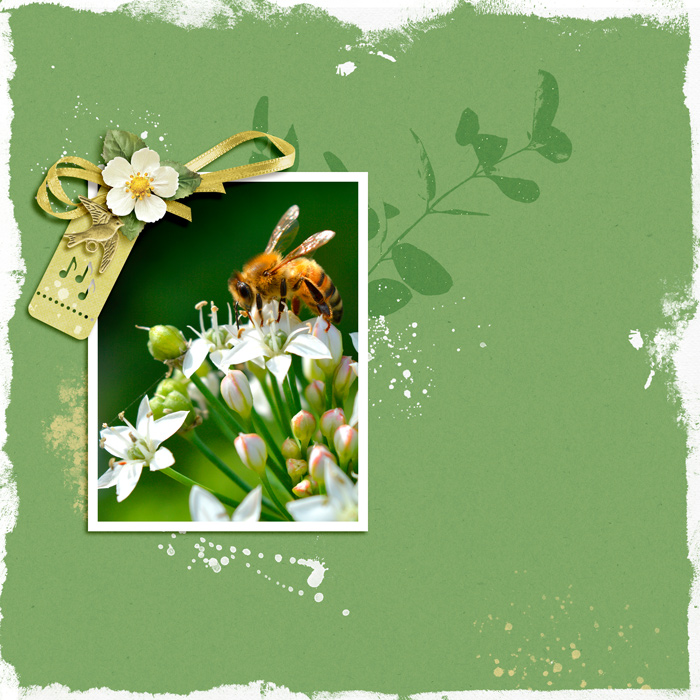 2020 May Template Challenge