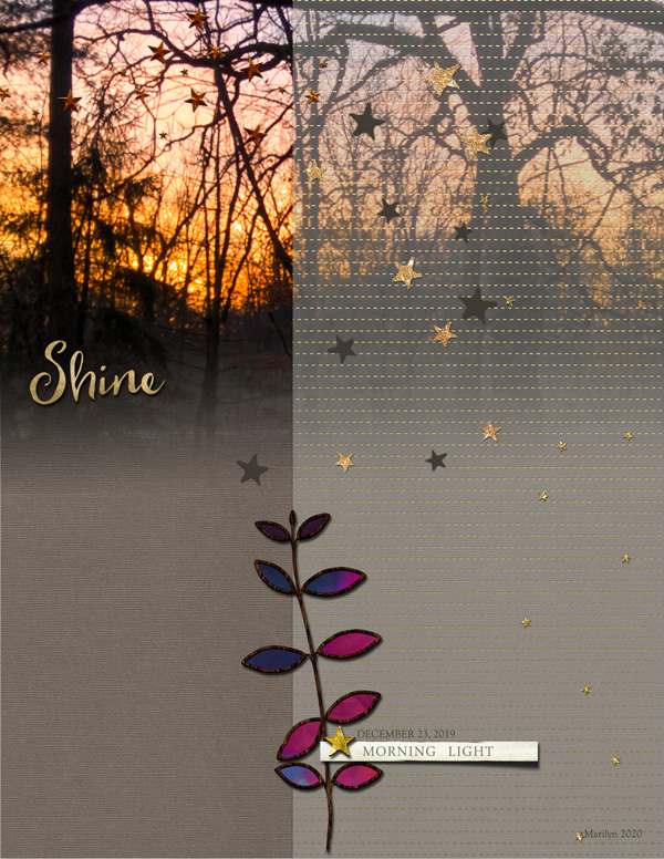 2020-MOC#15_Vellum_web