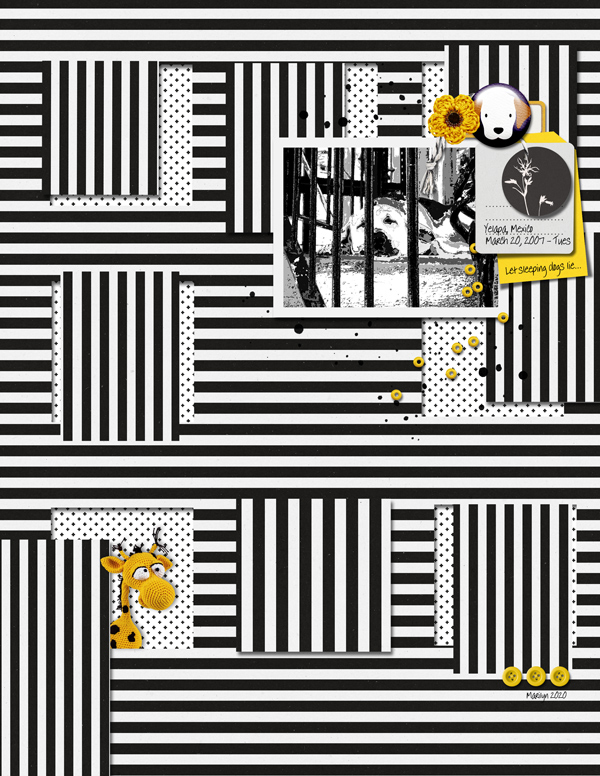 2020-MOC#19_cutouts_web