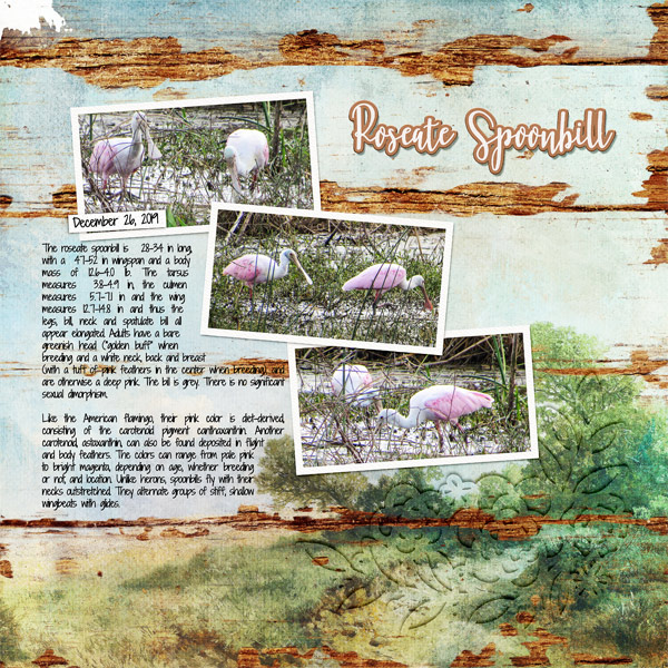 2020 MOC Day30 Cut File - Roseate Spoonbill
