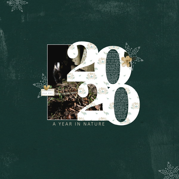 2020 Nature