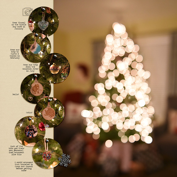 2020 Ornaments