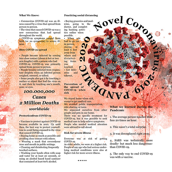 2020 Pandemic -A Synopsis