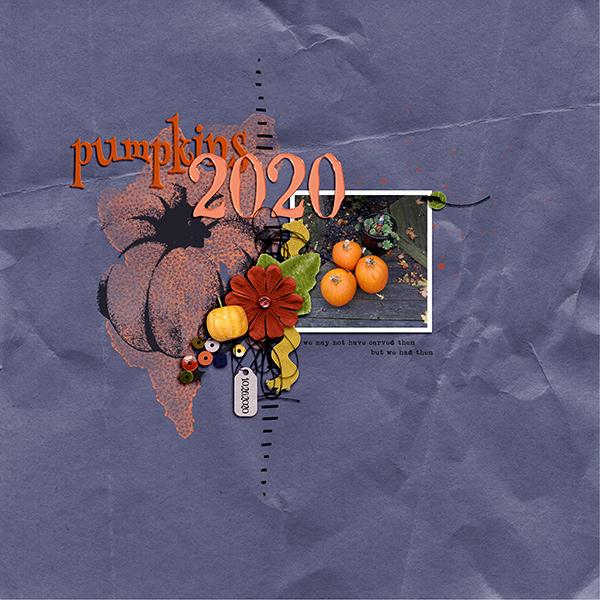 2020 Pumpkins