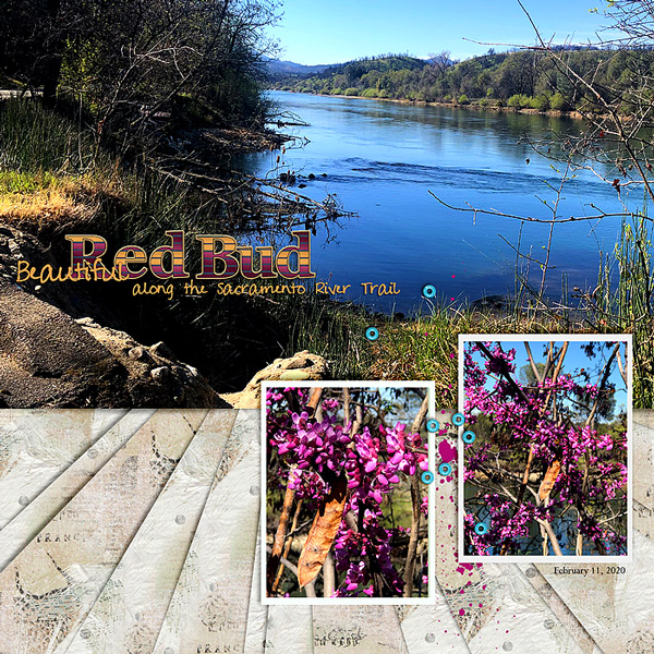 2020-Red-bud-along-the-River-Trail