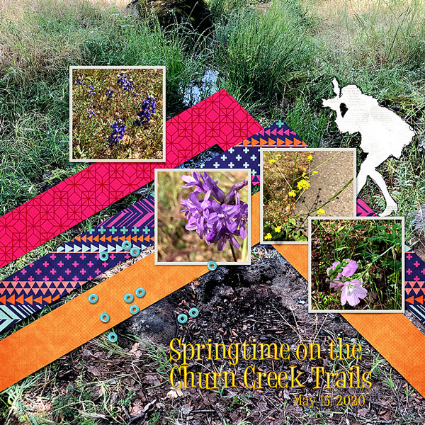 2020-wildflowers-May-15-churn-creek-trails-p1