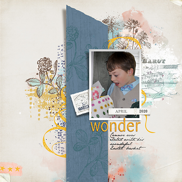 2020-Wonder---Connor