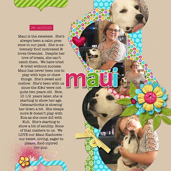 2020_07_28_Maui the LuvPup
