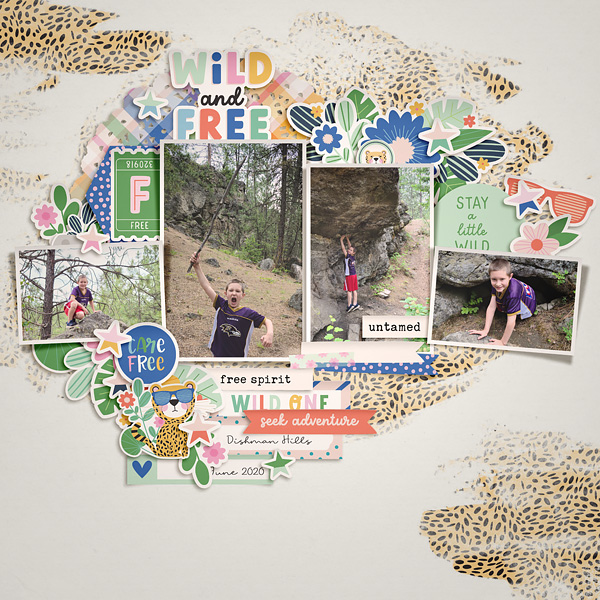 2020_6_Wild And Free Copy_BB_FDD