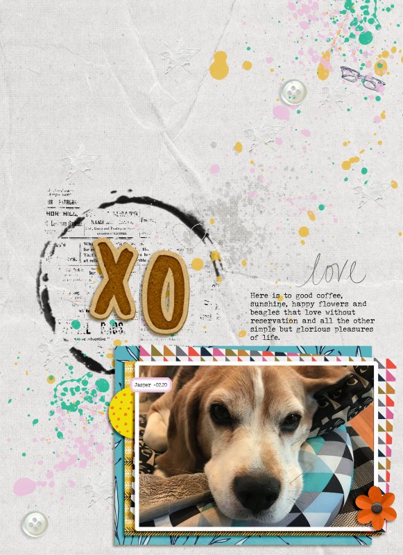 2020_balance_february_XO